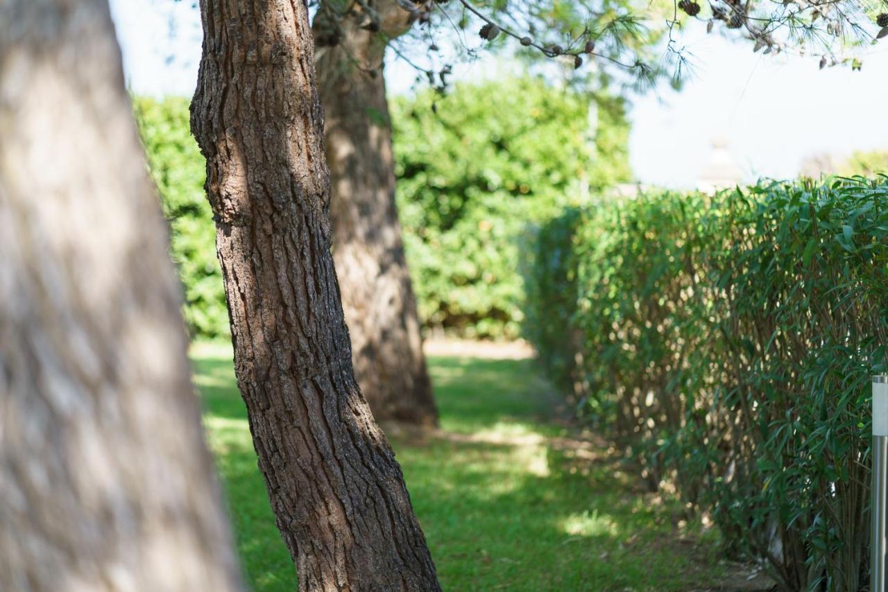 Agriturismo Serafina 奥特朗托 外观 照片